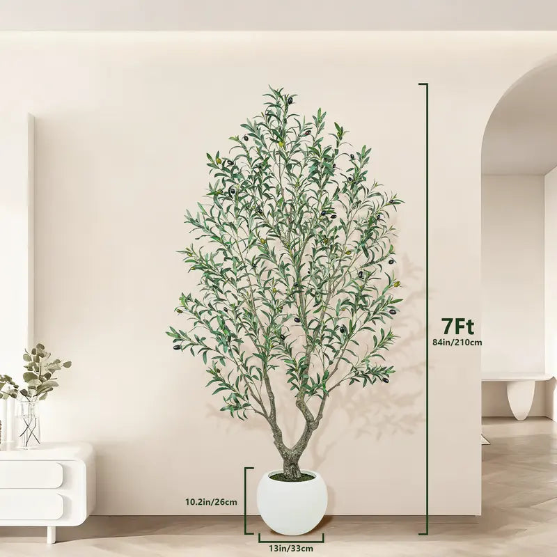 HOOMA© OliveTree