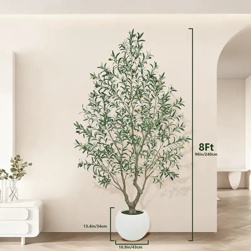 HOOMA© OliveTree