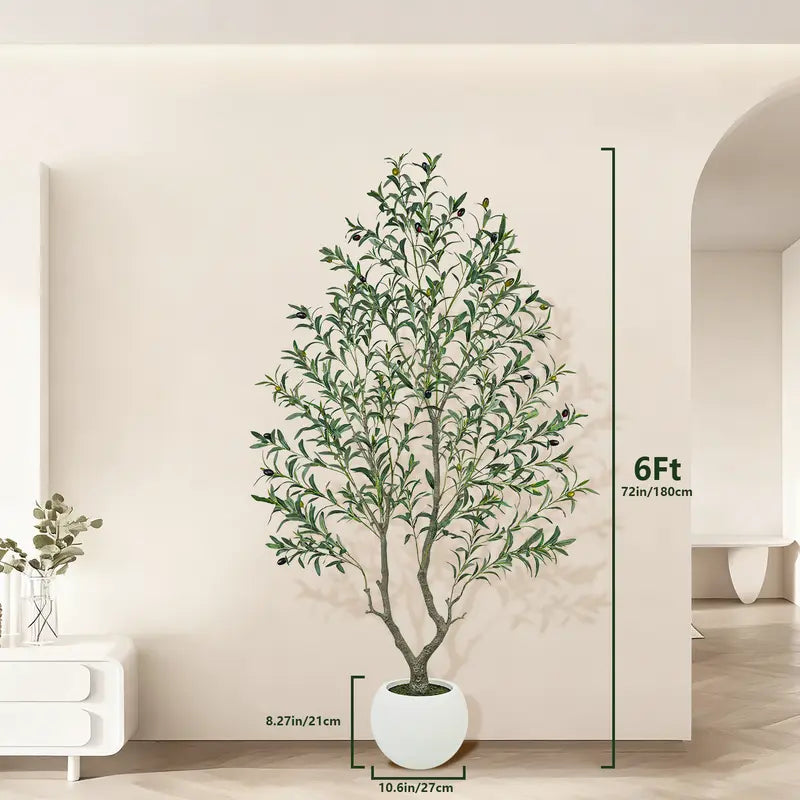 HOOMA© OliveTree