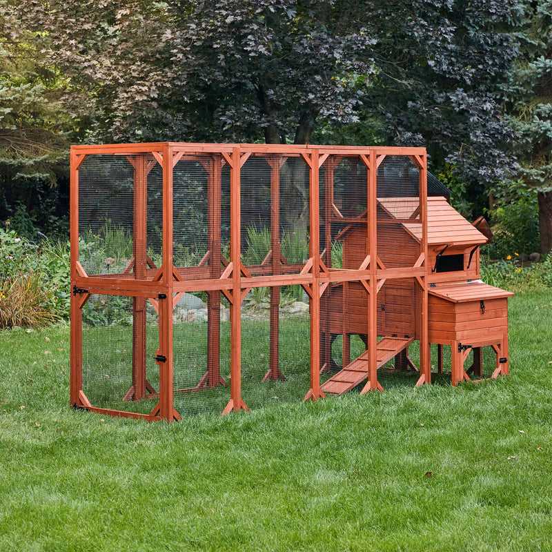 HOOMA© Chicken Coop